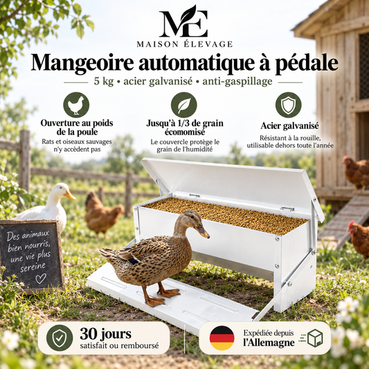 Mangeoire à poules anti-nuisibles et anti-gaspillage — 5 kg, ouverture à pédale
