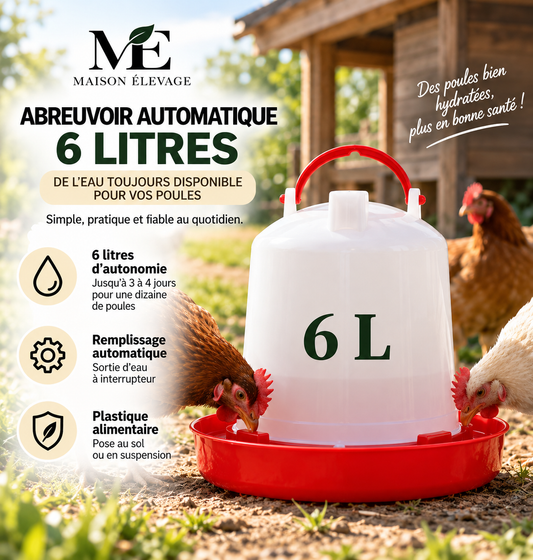 Abreuvoir automatique pour poulailler 6 L — seau à sortie contrôlée