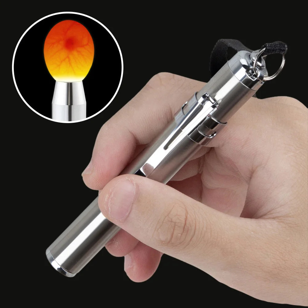 Ovoscope LED à lampe froide — mire-œufs haute intensité