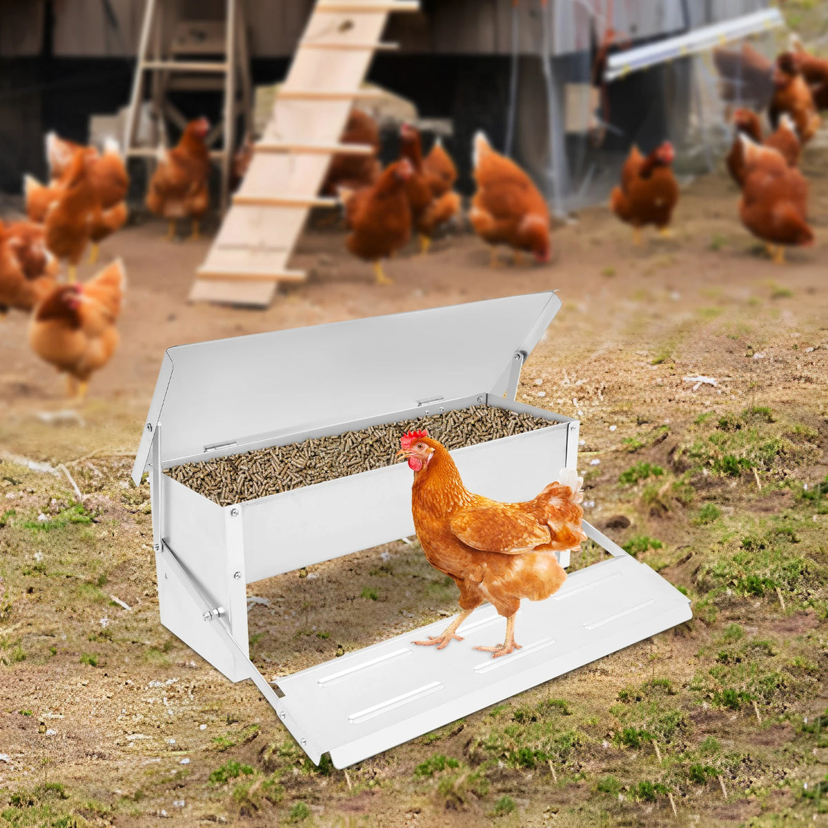 Mangeoire à poules anti-nuisibles et anti-gaspillage — 5 kg, ouverture à pédale