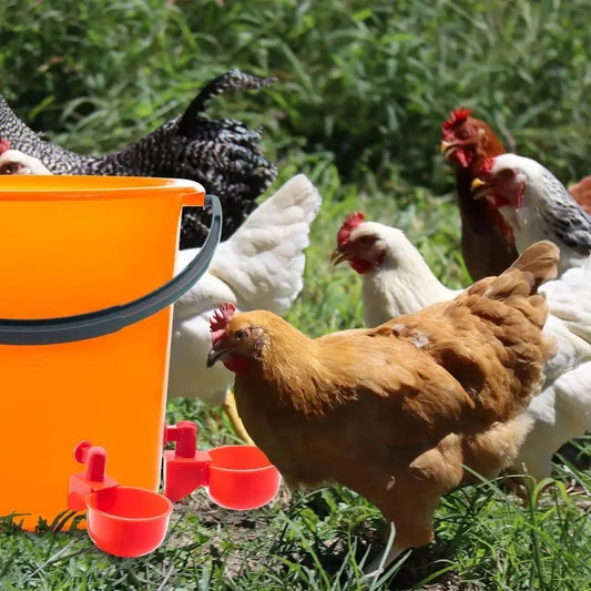 Abreuvoirs automatiques pour poules — coupelles à flotteur, lot de 20