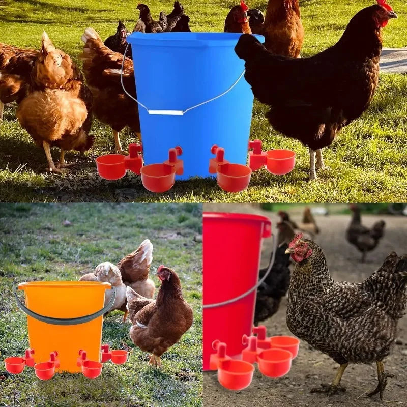 Abreuvoirs automatiques pour poules — coupelles à flotteur, lot de 20