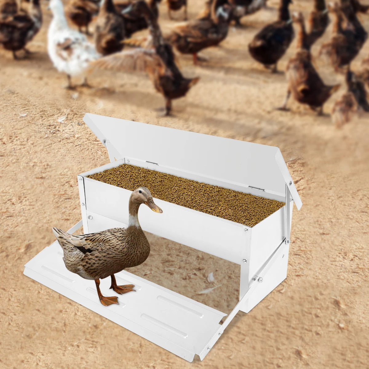 Mangeoire à poules anti-nuisibles et anti-gaspillage — 5 kg, ouverture à pédale