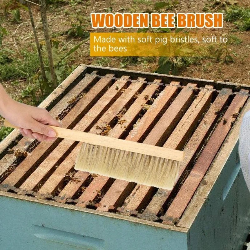 Brosse à abeilles en crin de cheval — deux rangées, manche bois