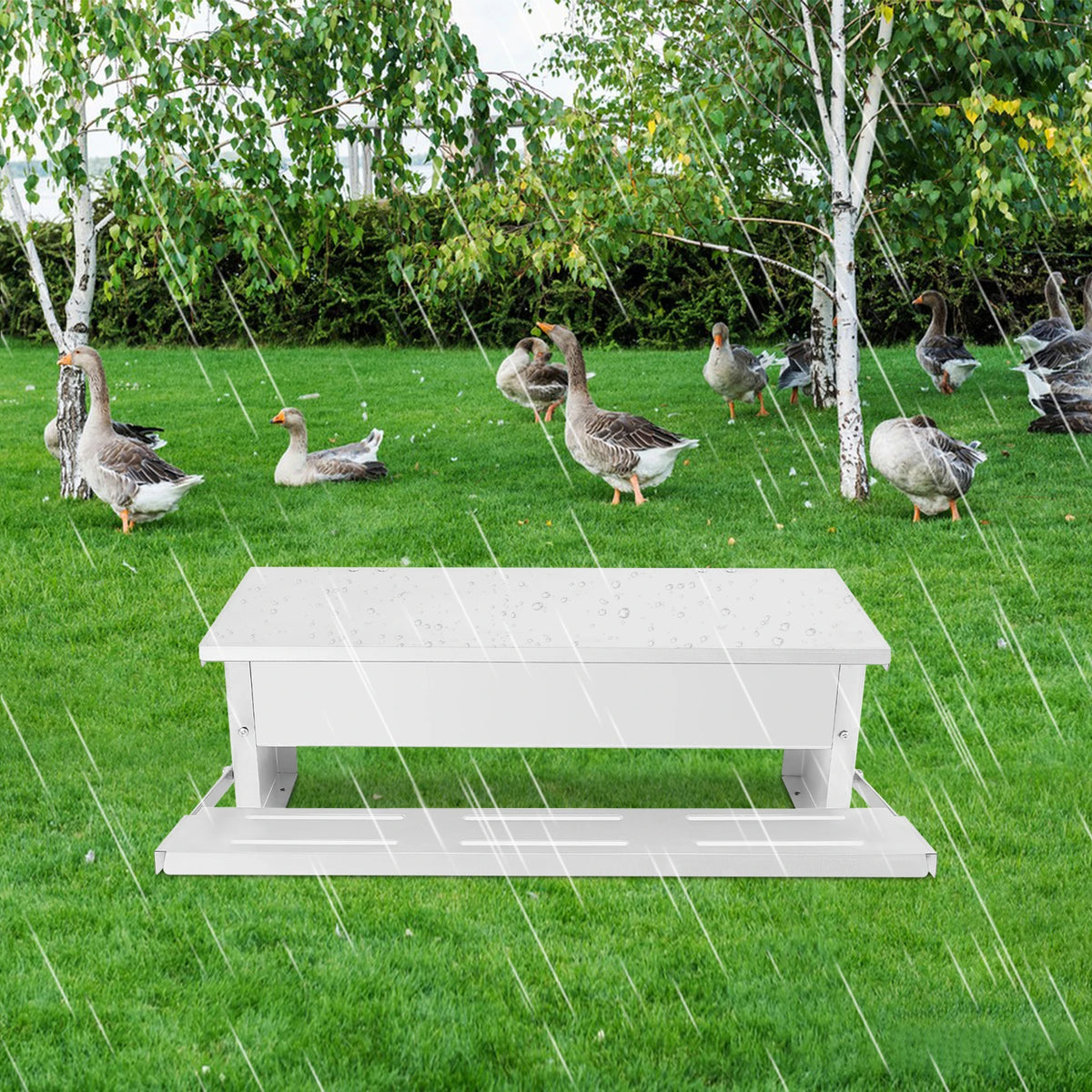 Mangeoire à poules anti-nuisibles et anti-gaspillage — 5 kg, ouverture à pédale
