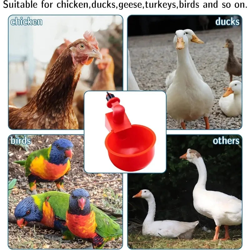 Abreuvoirs automatiques pour poules — coupelles à flotteur, lot de 20