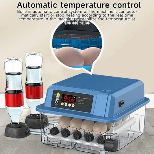 Couveuse automatique 12, 15 ou 24 œufs — retournement et régulation de température