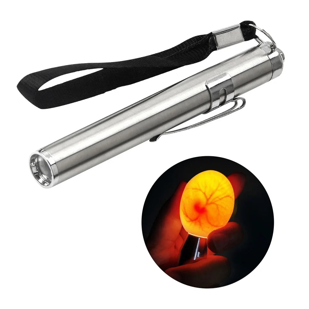 Ovoscope LED à lampe froide — mire-œufs haute intensité