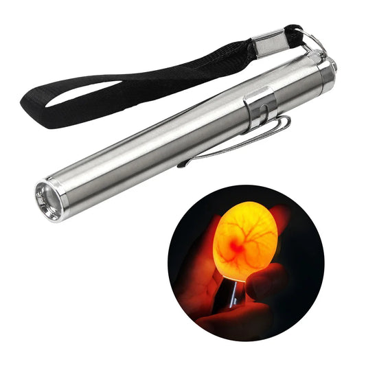 Ovoscope LED à lampe froide — mire-œufs haute intensité